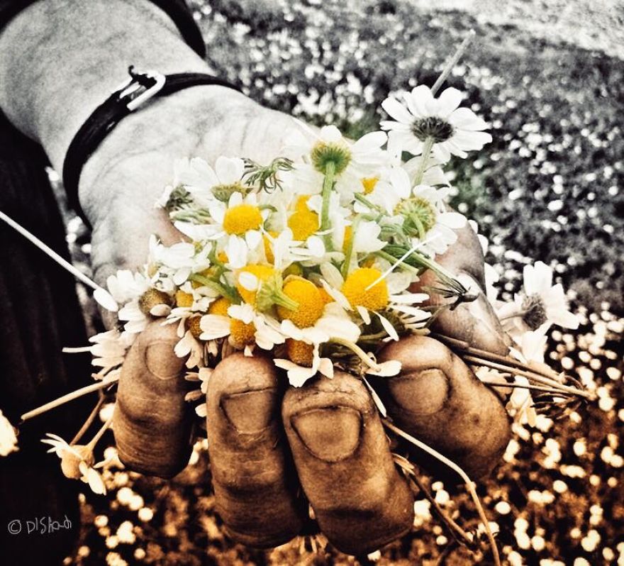 Photographer Captures Marvelous Moments By Mobilography