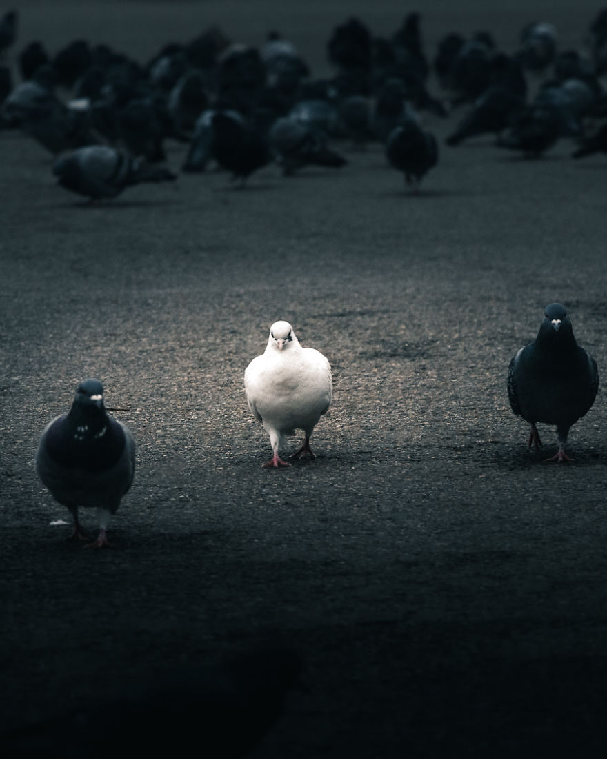The Streets Of Seoul Through My Lens
