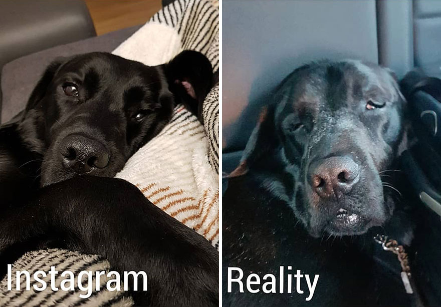 This Girl Shows In A Hilarious Way The Reality Is Different From What We See On Instagram