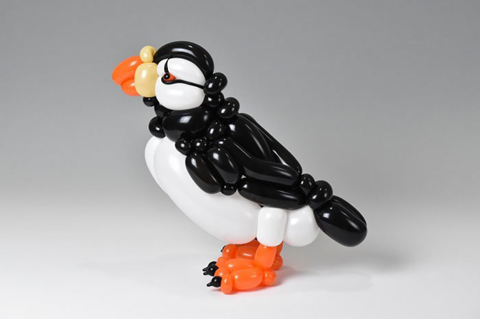 Horned Puffin
