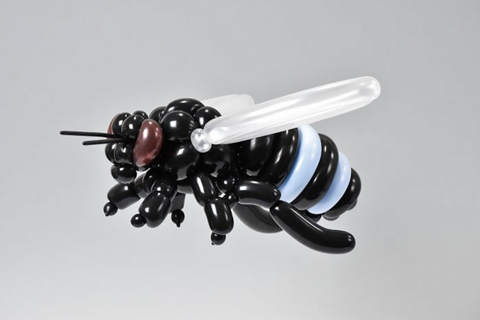 Bee (Nomia (Hoplonomia) Incerta)