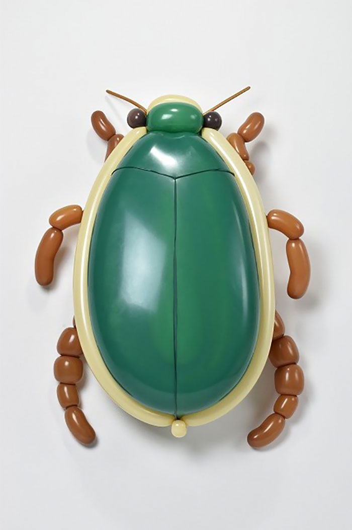Diving Beetle