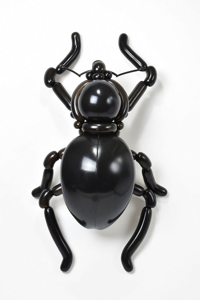 Weevil (Pachyrhynchus Infernalis)