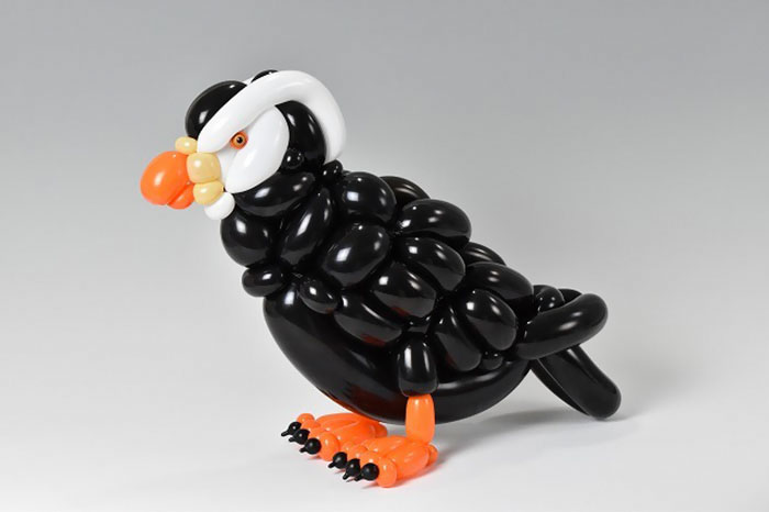 Tufted Puffin
