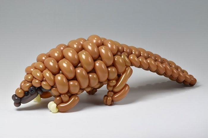 Pangolin