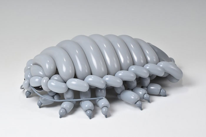 Giant Isopod