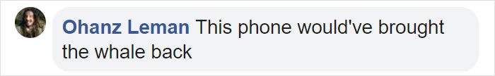 Friendly Beluga Returns Phone Woman Accidentally Dropped Into Ocean Friendly Beluga Returns Phone Woman Accidentally Dropped Into Ocean