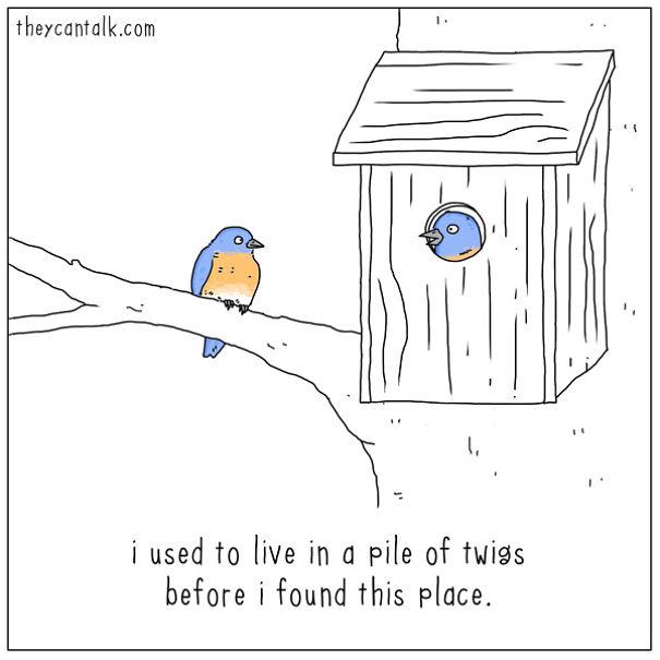 If Birds Could Talk, Here's What They Might Be Saying