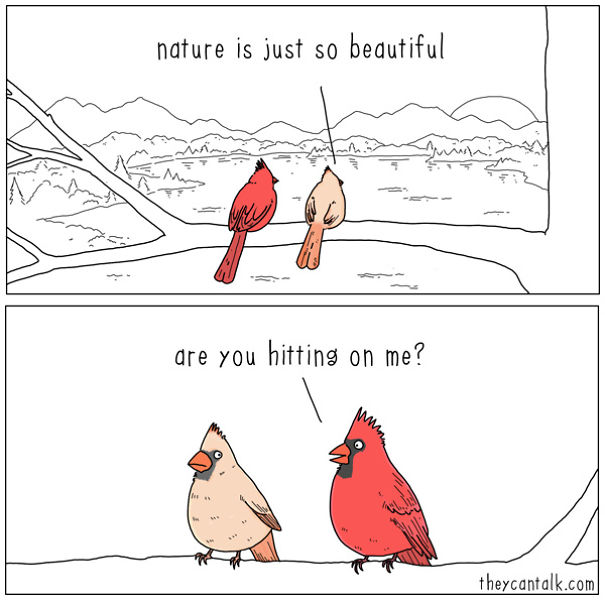 If Birds Could Talk, Here's What They Might Be Saying