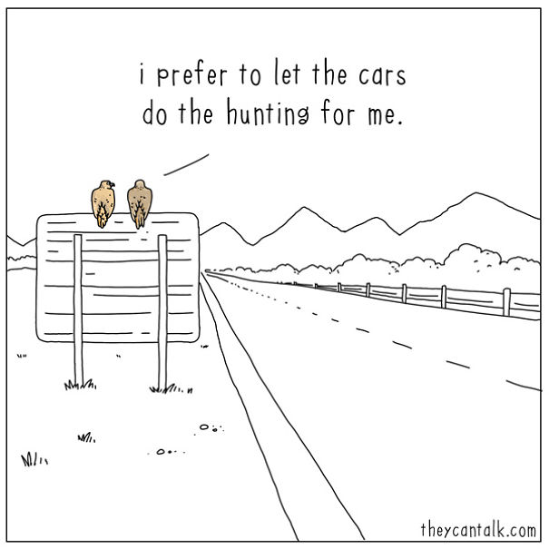 If Birds Could Talk, Here's What They Might Be Saying