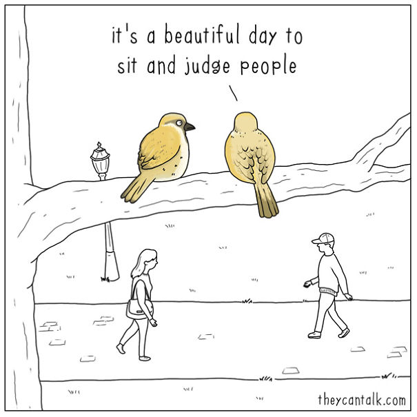 If Birds Could Talk, Here's What They Might Be Saying