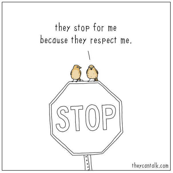 If Birds Could Talk, Here's What They Might Be Saying