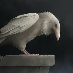 gracefulgalaxy23 avatar