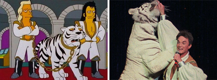 Cartoons depicting a chained white tiger with two guards alongside a man interacting with a similar tiger on stage.