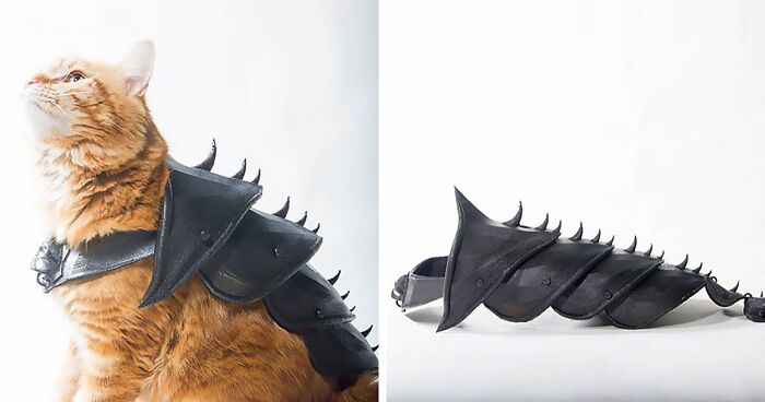 Guy Turns His Cat Into A Total Badass With This 3D Printed Armor