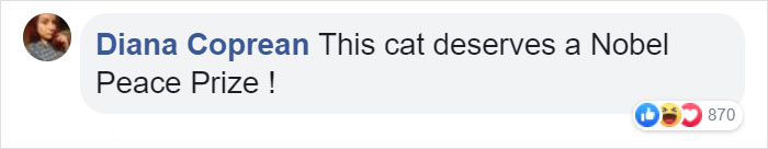 Owner Can't Be Mad At The Cat Anymore For Destroying His Earphone Cable, As The Cat Returned With A Snake As A Replacement Owner Can't Be Mad At The Cat Anymore For Destroying His Earphone Cable, As The Cat Returned With A Snake As A Replacement