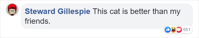 Owner Can't Be Mad At The Cat Anymore For Destroying His Earphone Cable, As The Cat Returned With A Snake As A Replacement Owner Can't Be Mad At The Cat Anymore For Destroying His Earphone Cable, As The Cat Returned With A Snake As A Replacement