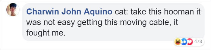Owner Can't Be Mad At The Cat Anymore For Destroying His Earphone Cable, As The Cat Returned With A Snake As A Replacement Owner Can't Be Mad At The Cat Anymore For Destroying His Earphone Cable, As The Cat Returned With A Snake As A Replacement