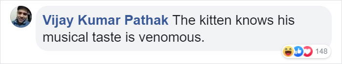 Owner Can't Be Mad At The Cat Anymore For Destroying His Earphone Cable, As The Cat Returned With A Snake As A Replacement Owner Can't Be Mad At The Cat Anymore For Destroying His Earphone Cable, As The Cat Returned With A Snake As A Replacement