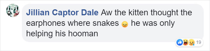 Owner Can't Be Mad At The Cat Anymore For Destroying His Earphone Cable, As The Cat Returned With A Snake As A Replacement Owner Can't Be Mad At The Cat Anymore For Destroying His Earphone Cable, As The Cat Returned With A Snake As A Replacement