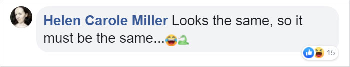 Owner Can't Be Mad At The Cat Anymore For Destroying His Earphone Cable, As The Cat Returned With A Snake As A Replacement Owner Can't Be Mad At The Cat Anymore For Destroying His Earphone Cable, As The Cat Returned With A Snake As A Replacement