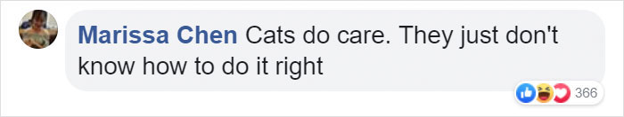 Owner Can't Be Mad At The Cat Anymore For Destroying His Earphone Cable, As The Cat Returned With A Snake As A Replacement Owner Can't Be Mad At The Cat Anymore For Destroying His Earphone Cable, As The Cat Returned With A Snake As A Replacement