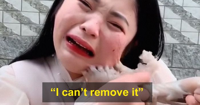 Octopus Attacks Woman That Tried To Eat It Alive