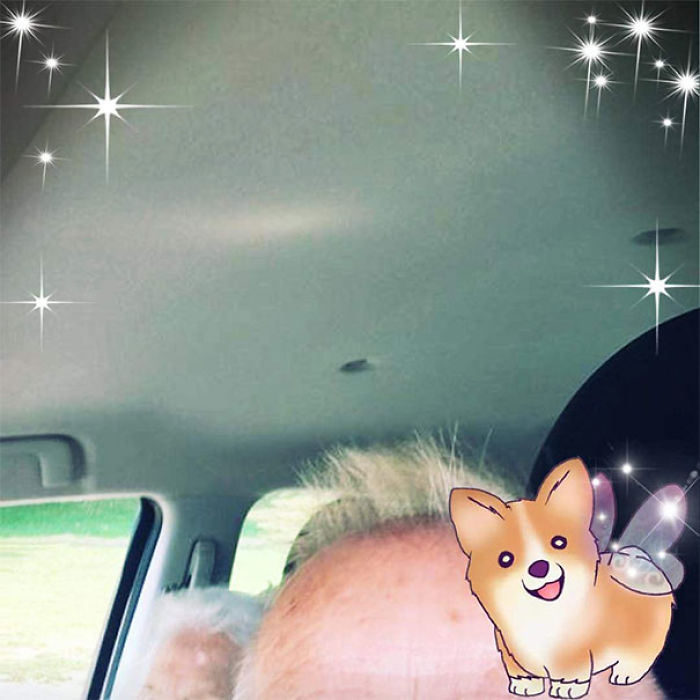 My Grandpa's Profile Picture