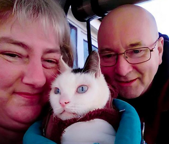 Paralyzed Kitty Toby Has Passed Away