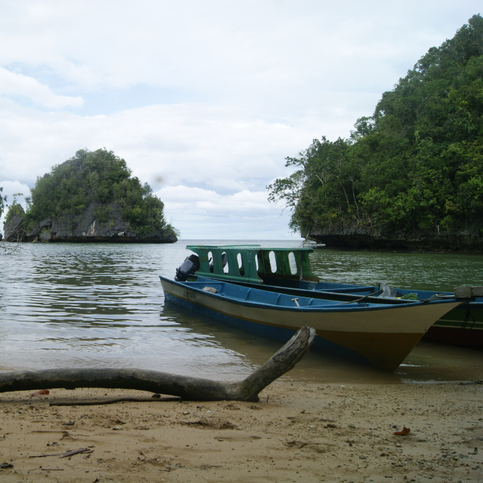 I Went To Fakfak To Enjoy The Beach, Cave, And Saw Bats