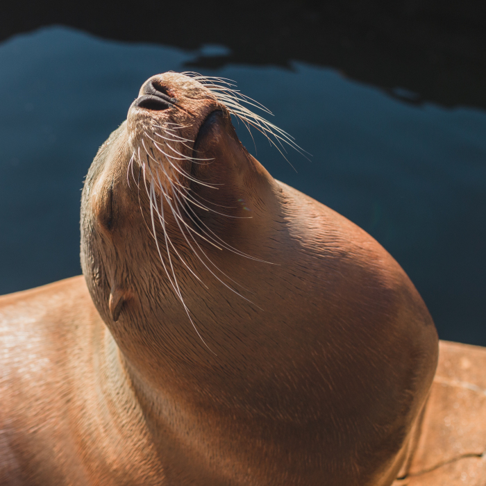 Two Years In Denmark – One Of The Happiest Places On Earth