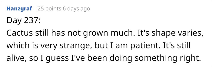 Guy Gets Pranked With A Fake 'Cactus' That's Actually A Pickle His Colleagues Replace Every 2 Days Guy Gets Pranked With A Fake 'Cactus' That's Actually A Pickle His Colleagues Replace Every 2 Days