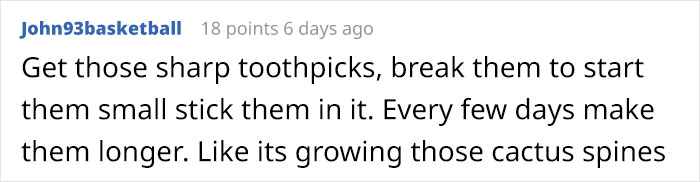 Guy Gets Pranked With A Fake 'Cactus' That's Actually A Pickle His Colleagues Replace Every 2 Days Guy Gets Pranked With A Fake 'Cactus' That's Actually A Pickle His Colleagues Replace Every 2 Days