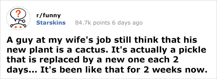 Guy Gets Pranked With A Fake 'Cactus' That's Actually A Pickle His Colleagues Replace Every 2 Days Guy Gets Pranked With A Fake 'Cactus' That's Actually A Pickle His Colleagues Replace Every 2 Days