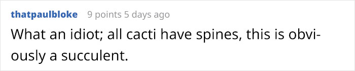 Guy Gets Pranked With A Fake 'Cactus' That's Actually A Pickle His Colleagues Replace Every 2 Days Guy Gets Pranked With A Fake 'Cactus' That's Actually A Pickle His Colleagues Replace Every 2 Days