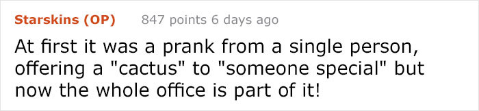 Guy Gets Pranked With A Fake 'Cactus' That's Actually A Pickle His Colleagues Replace Every 2 Days