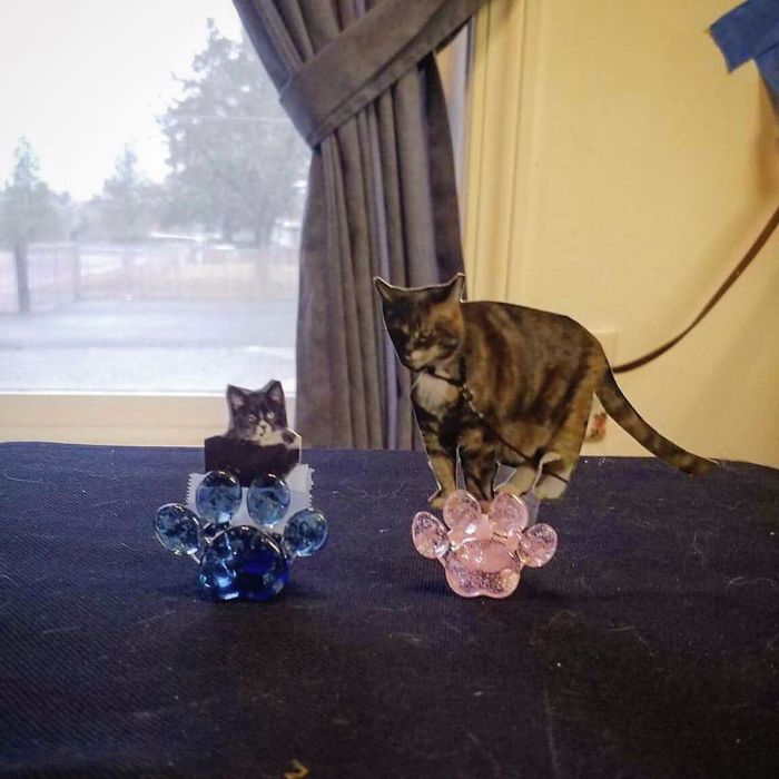 Company Turns Ashes Of People's Beloved Pets Into Glass Replica Paws That Will Serve As A Memorial Forever
