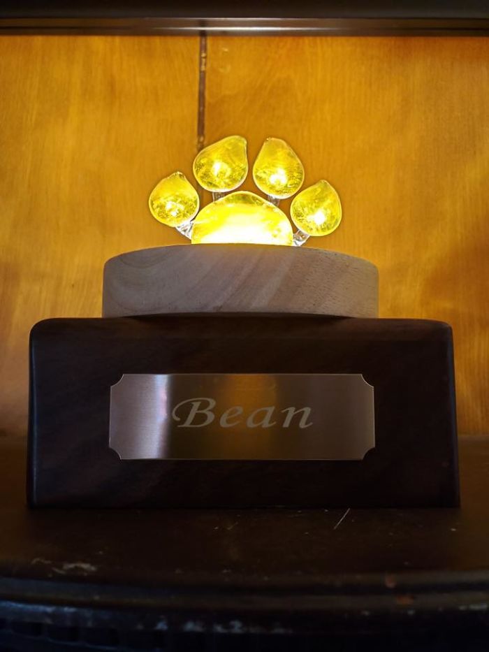 Company Turns Ashes Of People's Beloved Pets Into Glass Replica Paws That Will Serve As A Memorial Forever Company Turns Ashes Of People's Beloved Pets Into Glass Replica Paws That Will Serve As A Memorial Forever