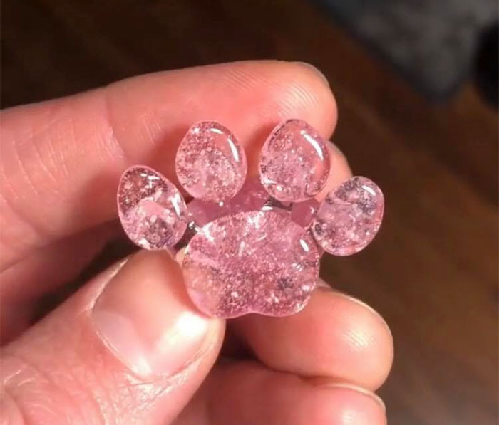 Company Turns Ashes Of People's Beloved Pets Into Glass Replica Paws That Will Serve As A Memorial Forever Company Turns Ashes Of People's Beloved Pets Into Glass Replica Paws That Will Serve As A Memorial Forever
