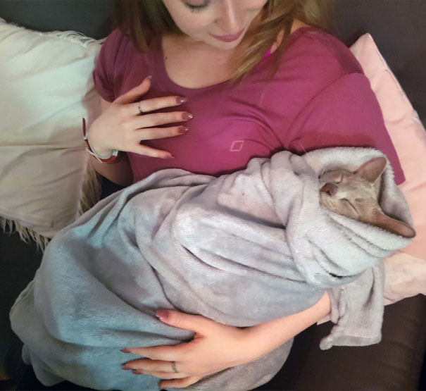 Purrito
