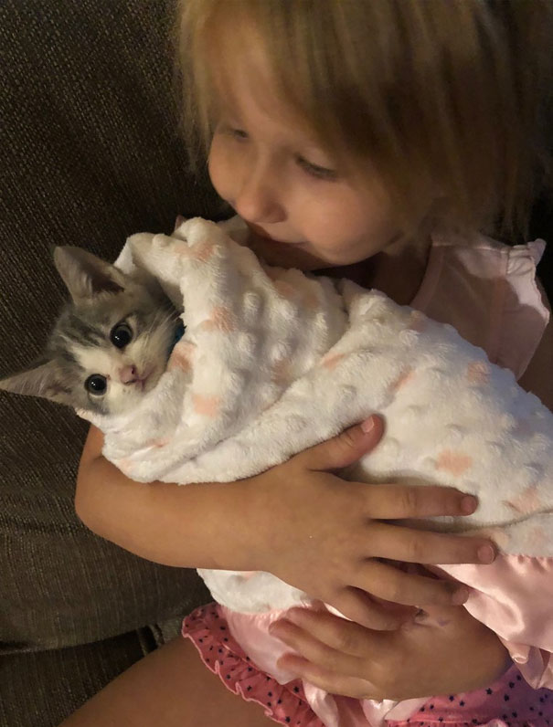Purrito