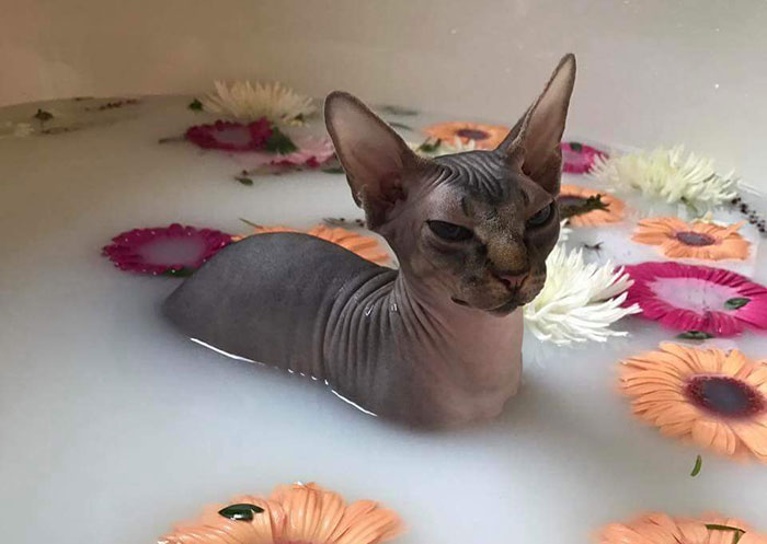 "I'm Very Satisfied Right Now"