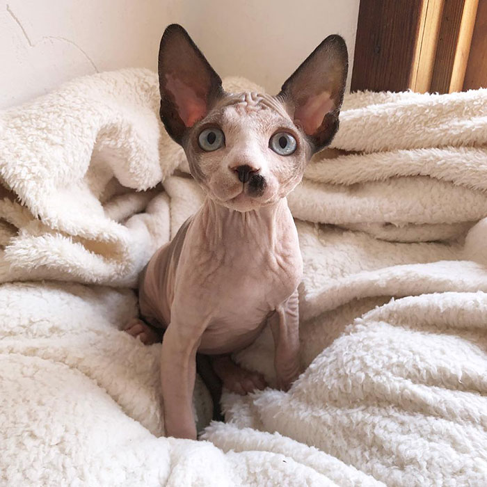 Fletcher You Are Just Too Cute For Words