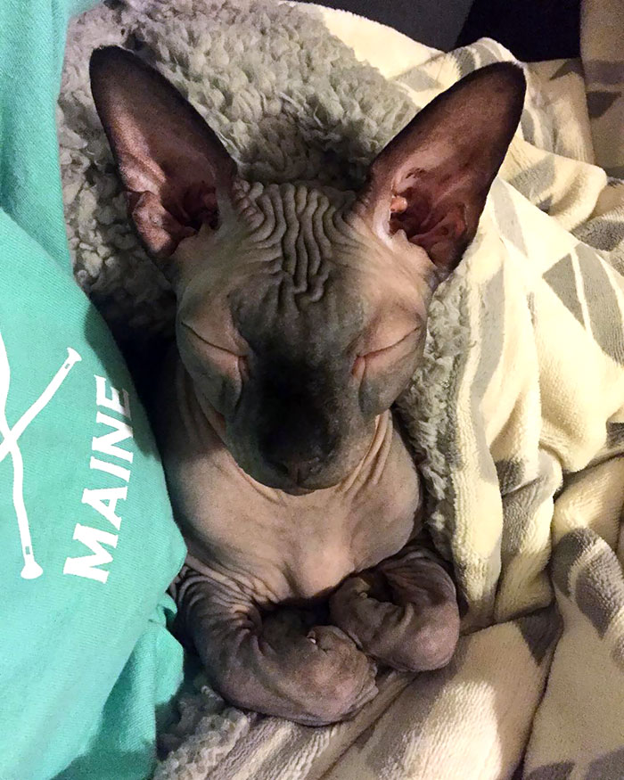 Look At You, Pawtucket