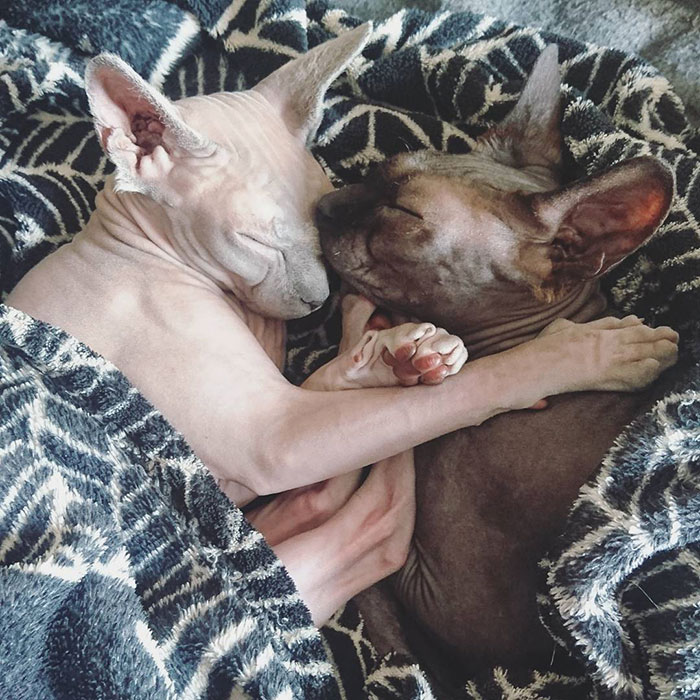 Always Better When We're Together