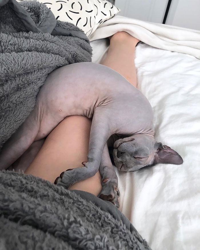 How Is This Comfortable?