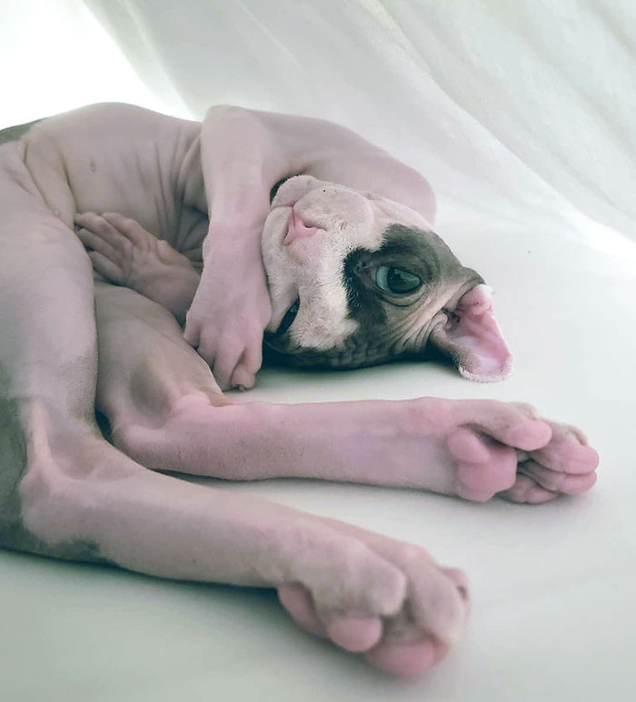 "Comfortable" Is A Relative Position