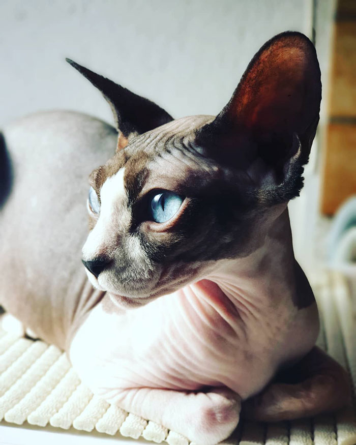 I'm Such A Big Girl Now