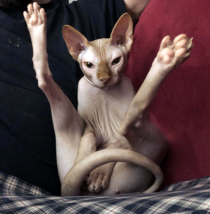 My Most Favorite Picard Picture