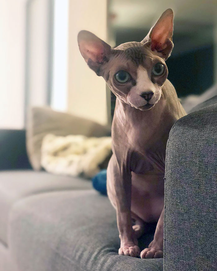 Charlie Is Being Sceptical